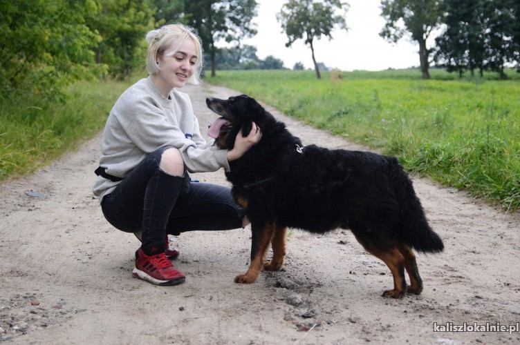 dzeki-niekonfliktowy-wesoly-psiak-cale-zycie-za-kratami-45984-kalisz.jpg