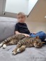 Przyjazny, domowy kotek Wasyl szuka domu!