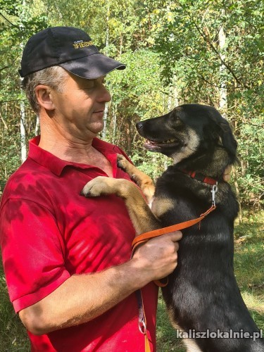 czworonozny-czlonek-rodziny-oto-i-on-kajtulo-47294-kalisz-foto.jpg