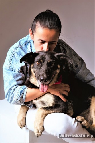 zylka-wspaniala-wesola-suczka-do-pokochania-47716-psy.jpg