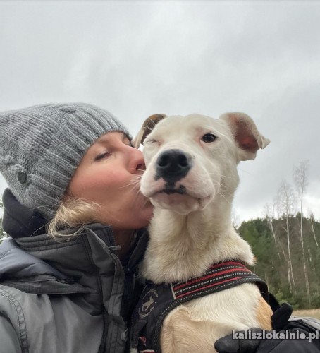 lucy-idealna-przeslodka-i-bardzo-smutna-48321-kalisz.jpg