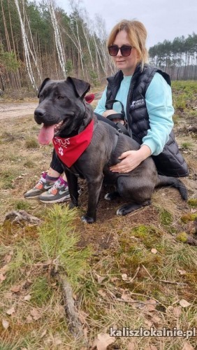 sonia-niekonfliktowa-fantastyczna-suka-w-typie-ttb-49113-kalisz.jpg