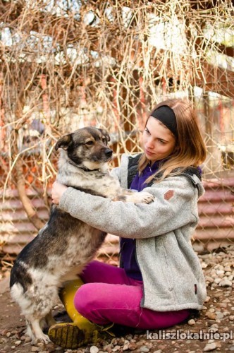 mirabelka-niekonfliktowa-przyjazna-sunieczka-szuka-domu-49553-psy.jpg
