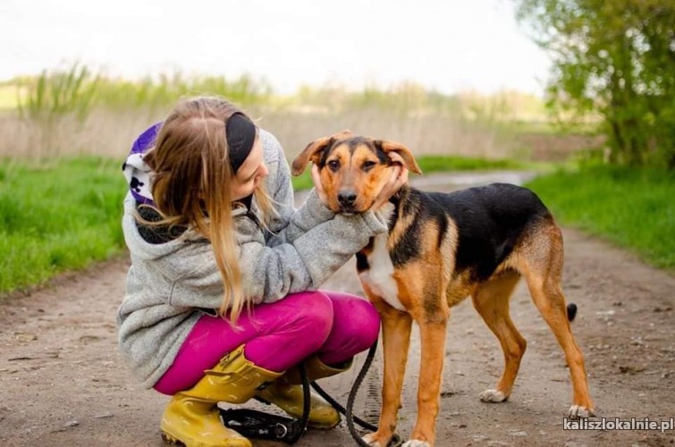 aleks-pies-ktory-jest-gotow-podbic-z-toba-swiat-49829-zdjecia.jpg