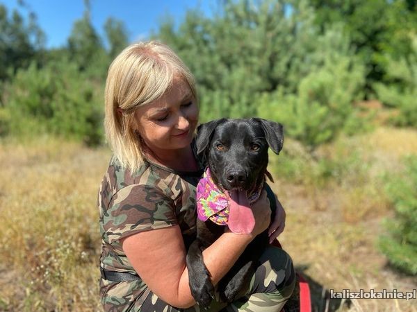 portos-domowy-mlodziutki-psiak-szuka-domu-49968-kalisz.jpg