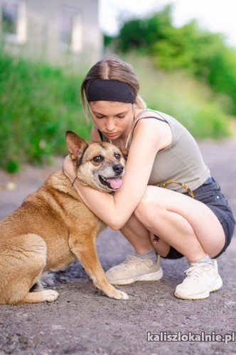 tores-cudowny-wspanialy-psiak-szuka-kochajacego-domu-50054-kalisz.jpg