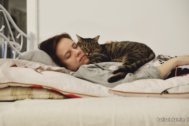 opieka-nad-kotem-hotel-dla-kota-50197-kalisz.jpg