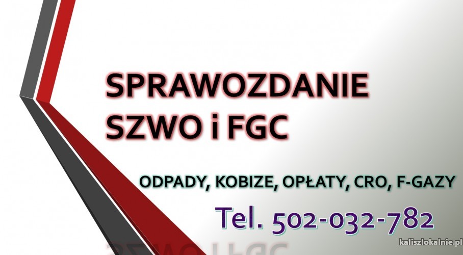 sprawozdanie-szwo-i-fgc-cena-tel-502-032-782-z-klimatyzacji-50559-pozostale.jpg