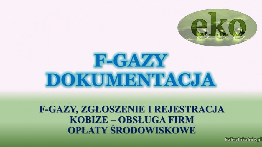 sprawozdanie-szwo-i-fgc-cena-tel-502-032-782-z-klimatyzacji-50559-zdjecia.jpg