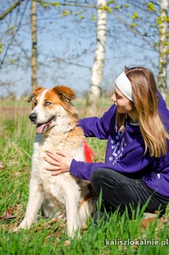 beta-pieknooka-proludzka-suczka-do-pokochania-50634-zdjecia.jpg