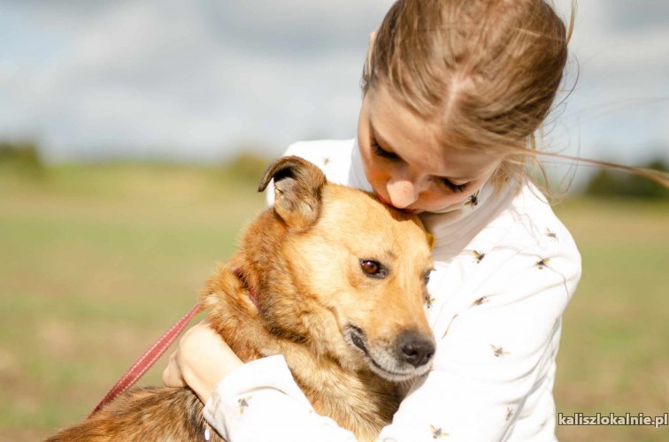 towarzyski-oli-przyjazny-nieduzy-psiaczek-50730-psy.jpg